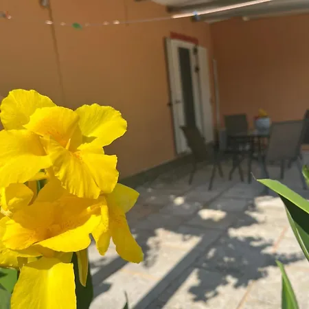 Domenica House Kondaraina